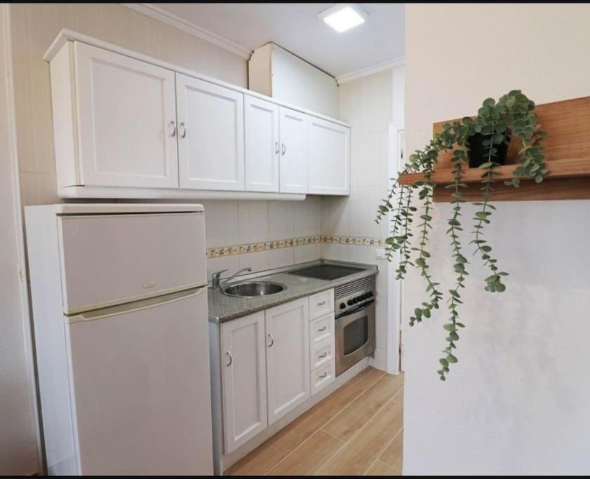 Brand New Apartment. 400 Meters Best Beach Torrevieja Dış mekan fotoğraf